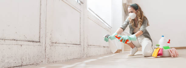 Best Mold Odor Removal Services  in Bellefontaine Neighbors, MO